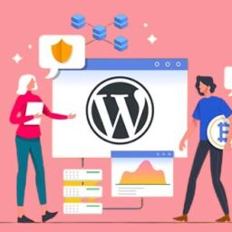 Do you have an idea of plugin development?