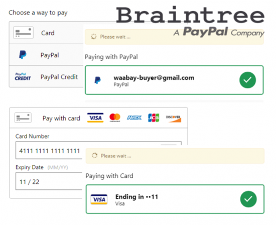 Braintree Payment